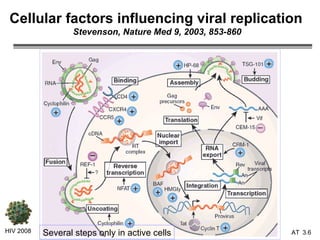 Cellular factors influencing viral replication   Stevenson, Nature Med 9, 2003, 853-860 HIV 2008 3.   Several steps only in active cells 