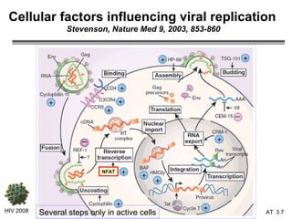 Cellular factors influencing viral replication   Stevenson, Nature Med 9, 2003, 853-860 HIV 2008 3.   NFAT Several steps only in active cells 