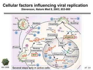 Cellular factors influencing viral replication   Stevenson, Nature Med 9, 2003, 853-860 HIV 2008 3.   APOBEC3G NFAT Several steps only in active cells 