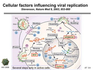 Cellular factors influencing viral replication   Stevenson, Nature Med 9, 2003, 853-860 HIV 2008 3.   APOBEC3G NFAT Cyclin-T Several steps only in active cells 