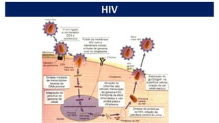 HIV
 