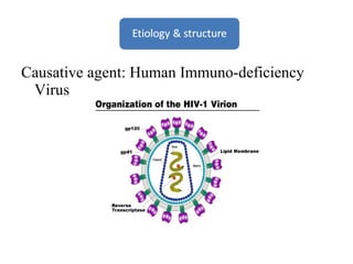 Causative agent: Human Immuno-deficiency Virus 