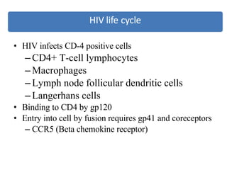 HIV infects CD-4 positive cells CD4+ T-cell lymphocytes Macrophages Lymph node follicular dendritic cells Langerhans cells Binding to CD4 by gp120 Entry into cell by fusion requires gp41 and coreceptors CCR5 (Beta chemokine receptor) 