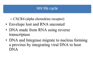 CXCR4 (alpha chemokine receptor) Envelope lost and RNA uncoated DNA made from RNA using reverse transcriptase DNA and Integrase migrate to nucleus forming a provirus by integrating viral DNA to host DNA 
