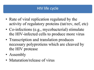 Rate of viral replication regulated by the activity of regulatory proteins (tat/rev, nef, etc) Co-infections (e.g., mycobacterial) stimulate the HIV-infected cells to produce more virus Transcription and translation produces necessary polyprotiens which are cleaved by the HIV protease Assembly Maturation/release of virus 