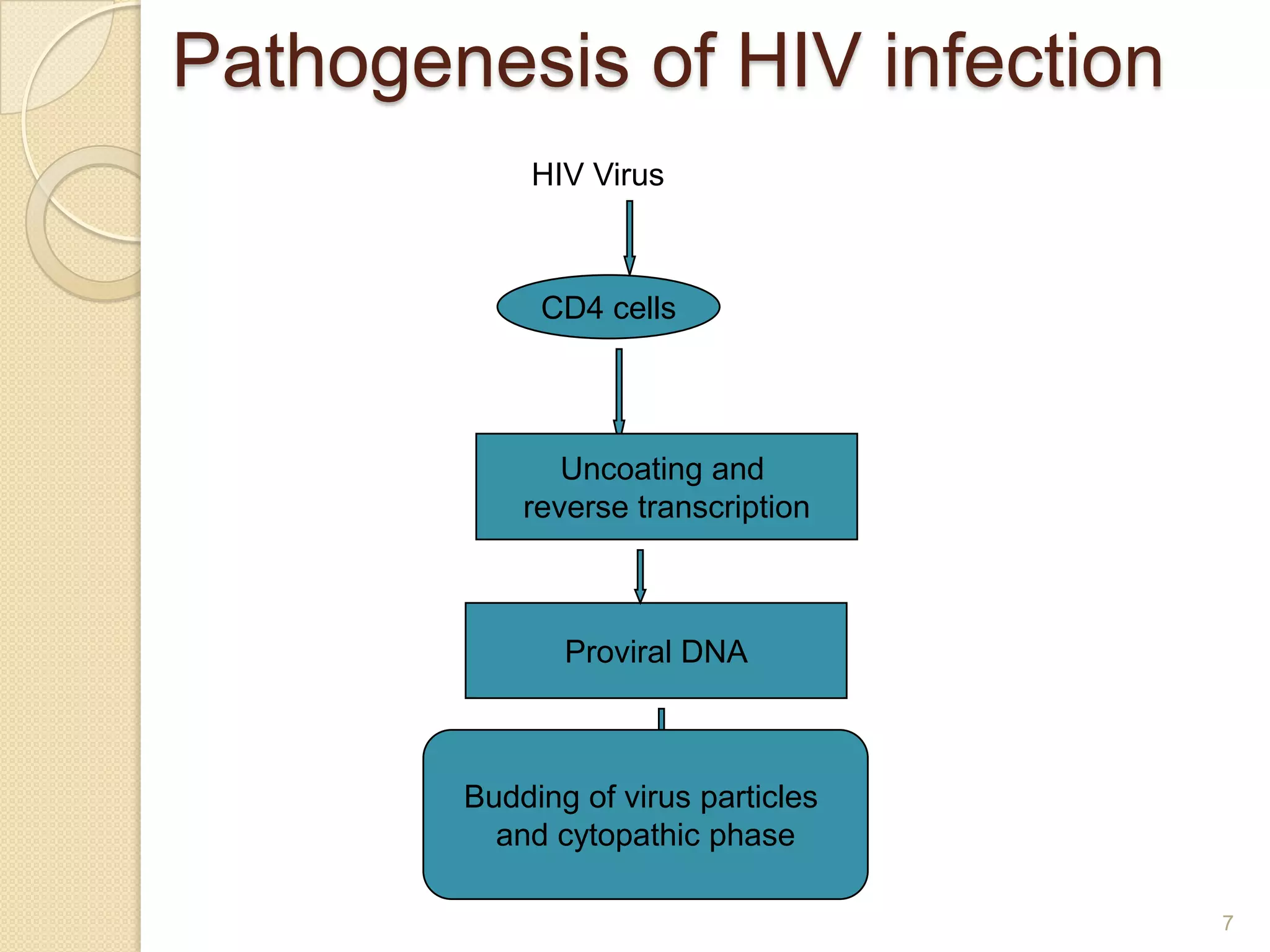 Pathogenesis of HIV infection
HIV Virus

CD4 cells

Uncoating and
reverse transcription

Proviral DNA

Budding of virus particles
and cytopathic phase
7

 