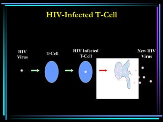 HIV-Infected T-Cell
HIV
Virus
T-Cell
HIV Infected
T-Cell
New HIV
Virus
 