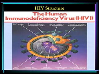 HIV Structure
 
