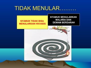 TIDAK MENULAR………TIDAK MENULAR………
NYAMUK TIDAK BISA
MENULARKAN HIV/AIDS
NYAMUK MENULARKAN
MALARIA DAN
DEMAM BERDARAH
 