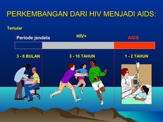 PERKEMBANGAN DARI HIV MENJADI AIDS:PERKEMBANGAN DARI HIV MENJADI AIDS:
3 - 10 TAHUN 1 - 2 TAHUN
Tertular
Periode jendela AIDS
3 - 6 BULAN
HIV+
 