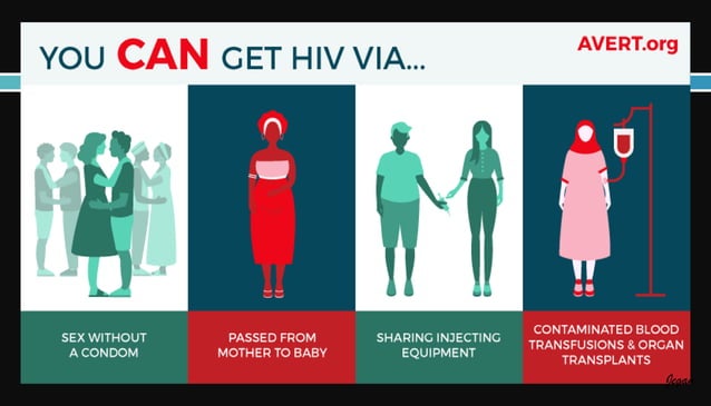 Pathophysiology of HIV AIDS | PDF | Infectious Diseases | Diseases and ...