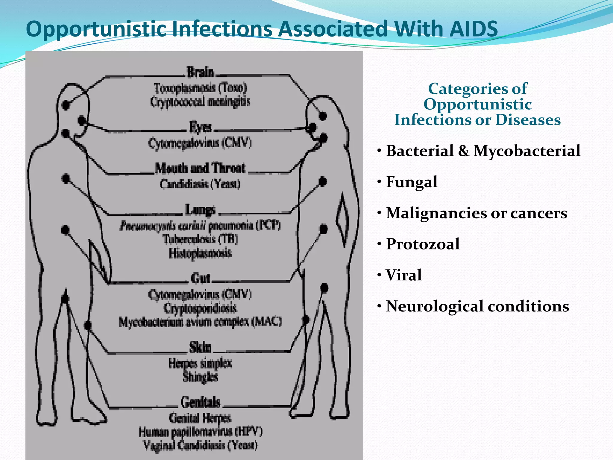 HIV-AIDS-Prevention & Control | PPTX