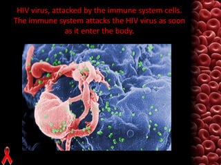 HIV virus, attacked by the immune system cells.
The immune system attacks the HIV virus as soon
as it enter the body.

 