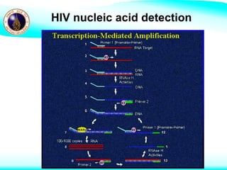 Laboratory diagnosis and monitoring of HIV | PDF