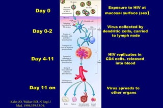 The Pathogenesis of HIV-1 Infection:
          Compartments

   Colon, Duodenum and      Brain Macrophages
  Rectum Chroma...