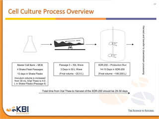 24
Master Cell Bank – MCB
4 Shake Flask Passages
12 days in Shake Flasks
Inoculum volume is increased
from 35 mL (Vial Thaw) to 4.0
L in Shake Flasks (Passage 4)
XDR-200 – Production Run
14-15 Days in XDR-200
(Final volume: ~190-200 L)
Passage 5 – 50L Wave
3 Days in 50 L Wave
(Final volume: ~20.5 L)
Total time from Vial Thaw to Harvest of the XDR-200 should be 29-30 days
Harvestandtransfertodownstreamprocessing
 