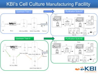 Upstream Train I
Upstream Train II
BPC BPC BPC
ProA
VI
Polish
VF
Bulk fill
KBI’s Cell Culture Manufacturing Facility
Purification Suite #1
2000L Prodn BRX200L Seed BRXWaveSF Harvest
2000L Prodn BRX #1
200L Seed BRX
Wave
SF
Harvest
50L Seed BRX
2000L Prodn BRX #2
Purification Suite #2
BPC BPC BPC
ProA
VI
Polish
VF
Bulk fill
UF
UF
 