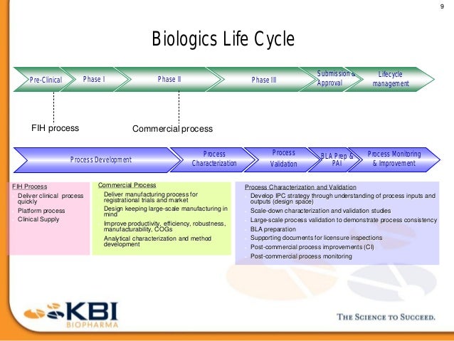 biologics development lifecycle biologics development lifecycle