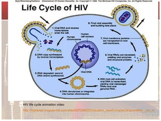 Hiv Life Cycle Animation