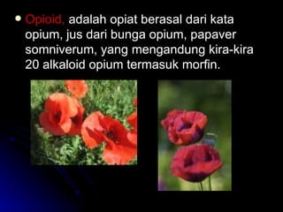 Opioid,  adalah opiat berasal dari kata opium, jus dari bunga opium, papaver somniverum, yang mengandung kira-kira 20 alkaloid opium termasuk morfin. 