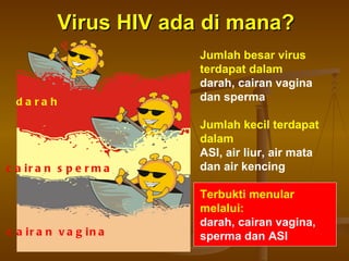 Virus HIV ada di mana? cairan sperma darah cairan vagina Jumlah besar virus terdapat dalam darah, cairan vagina dan sperma Jumlah kecil terdapat dalam ASI, air liur, air mata dan air kencing Terbukti menular melalui: darah, cairan vagina, sperma dan ASI 