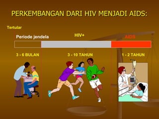 PERKEMBANGAN DARI HIV MENJADI AIDS: 3 - 10 TAHUN 1 - 2 TAHUN Tertular Periode jendela AIDS 3 - 6 BULAN HIV+ 