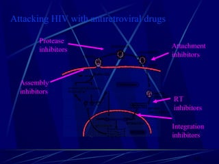 Attacking HIV with antiretroviral drugs
Protease
inhibitors

Attachment
inhibitors

Assembly
inhibitors
RT
inhibitors
Integration
inhibitors
121

 