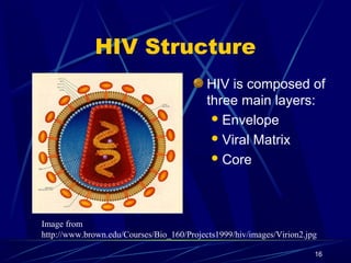 HIV Structure
HIV is composed of
three main layers:
 Envelope
 Viral Matrix
 Core

Image from
http://www.brown.edu/Courses/Bio_160/Projects1999/hiv/images/Virion2.jpg
16

 
