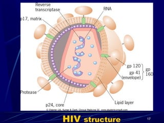 HIV

structure

17

 