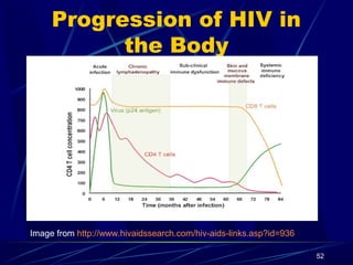 Progression of HIV in
the Body

Image from http://www.hivaidssearch.com/hiv-aids-links.asp?id=936
52

 