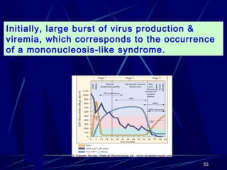 Initially, large burst of virus production &
viremia, which corresponds to the occurrence
of a mononucleosis-like syndrome.

53

 