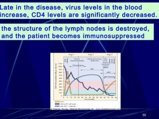 Late in the disease, virus levels in the blood
increase, CD4 levels are significantly decreased.
the structure of the lymph nodes is destroyed,
and the patient becomes immunosuppressed

55

 