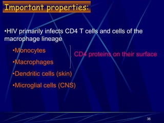 Important properties:
•HIV primarily infects CD4 T cells and cells of the
macrophage lineage
•Monocytes
•Macrophages

CD4 ...