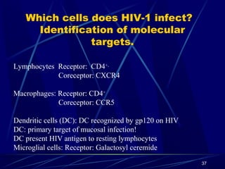 Which cells does HIV-1 infect?
Identification of molecular
targets.
Lymphocytes Receptor: CD4+,
Coreceptor: CXCR4
Macropha...