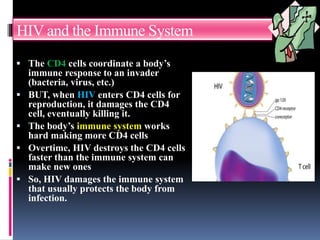 HIV and the Immune System
 The CD4 cells coordinate a body’s
immune response to an invader
(bacteria, virus, etc.)
 BUT, when HIV enters CD4 cells for
reproduction, it damages the CD4
cell, eventually killing it.
 The body’s immune system works
hard making more CD4 cells
 Overtime, HIV destroys the CD4 cells
faster than the immune system can
make new ones
 So, HIV damages the immune system
that usually protects the body from
infection.
 