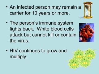 An infected person may remain a carrier for 10 years or more. The person’s immune system fights back.  White blood cells attack but cannot kill or contain the virus. HIV continues to grow and multiply. 