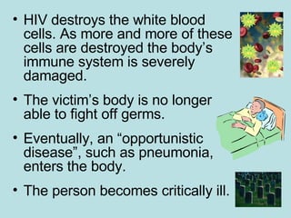 HIV destroys the white blood cells. As more and more of these cells are destroyed the body’s immune system is severely damaged. The victim’s body is no longer able to fight off germs. Eventually, an “opportunistic disease”, such as pneumonia, enters the body. The person becomes critically ill. 