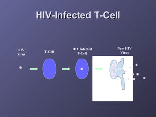 HIV-Infected T-Cell HIV Virus T-Cell HIV Infected T-Cell New HIV Virus 