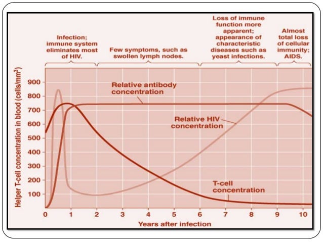 Hiv gestation