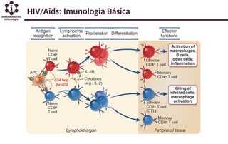 HIV/Aids: Imunologia Básica
 