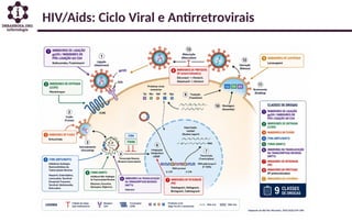 HIV/Aids: Ciclo Viral e Antirretrovirais
 