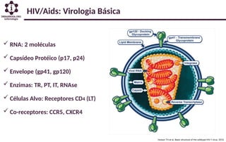 HIV/Aids: Virologia Básica
 RNA: 2 moléculas
 Capsídeo Protéico (p17, p24)
 Envelope (gp41, gp120)
 Enzimas: TR, PT, IT, RNAse
 Células Alvo: Receptores CD4 (LT)
 Co-receptores: CCR5, CXCR4
 