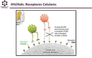 HIV/Aids: Receptores Celulares
 