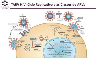 TARV HIV: Ciclo Replicativo e as Classes de ARVs
NRTTI
 