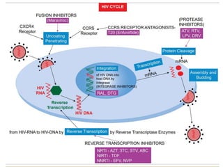 HIV AIDS Present and future in India PPT | PPTX