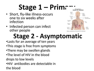 Stage 1 – Primary
• Short, flu-like illness-occurs
one to six weeks after
infection
• Infected person can infect
other people
Stage 2 - Asymptomatic
•Lasts for an average of ten years
•This stage is free from symptoms
•There may be swollen glands
•The level of HIV in the blood
drops to low levels
•HIV antibodies are detectable in
the blood
 