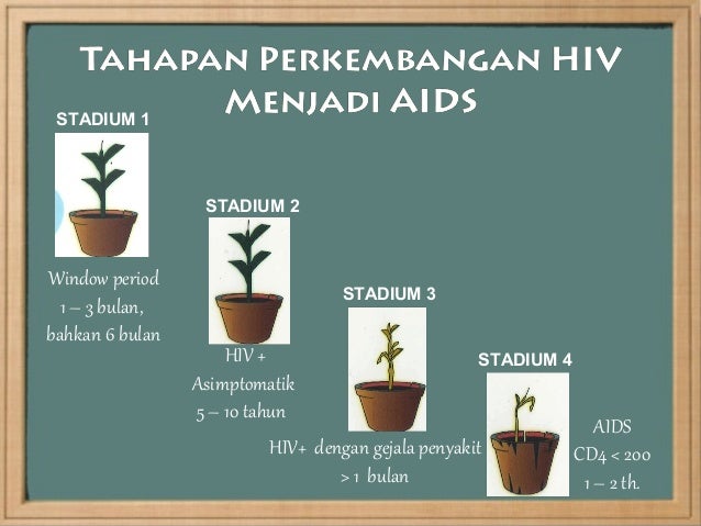 Hiv Aids Smu