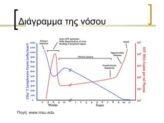 Διάγραμμα της νόσου
Πηγή: www.msu.edu
 