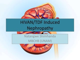 HIVAN/TDF Induced
Nephropathy
Natangwe Shimhanda
MBCHB (UNAM)
 