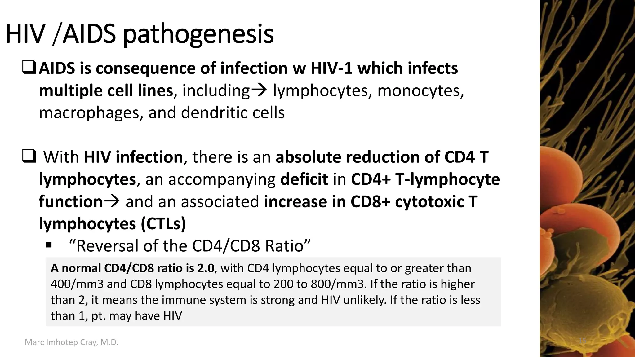 HIV / AIDS Pathology | PDF